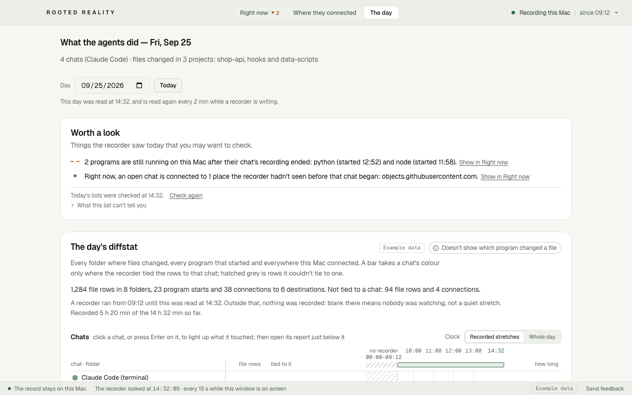 Rooted Reality's The day view, showing a Worth a look summary above an example daily record.